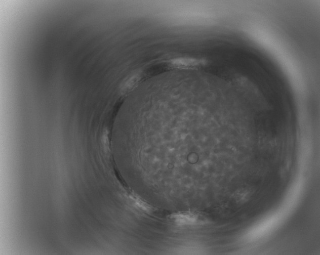 X0000062830765200601171419