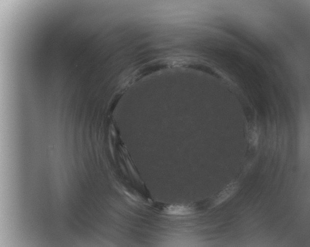 X0000062830766200601171419