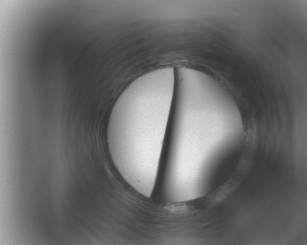 X0000062830767200601171419