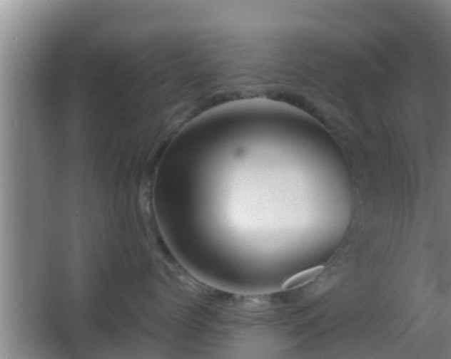 X0000062830768200601171419