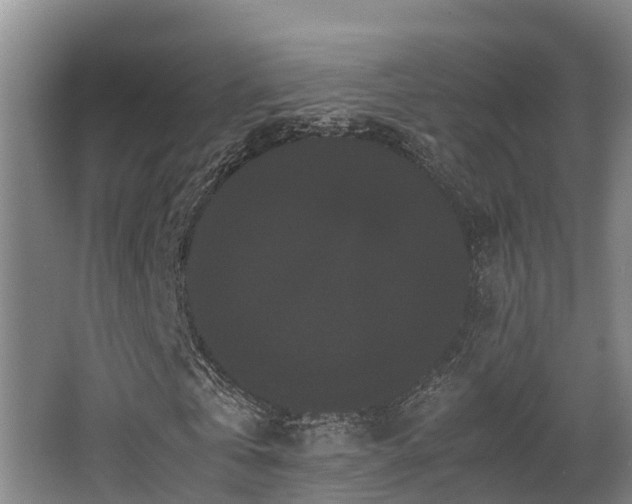 X0000062830769200601171418