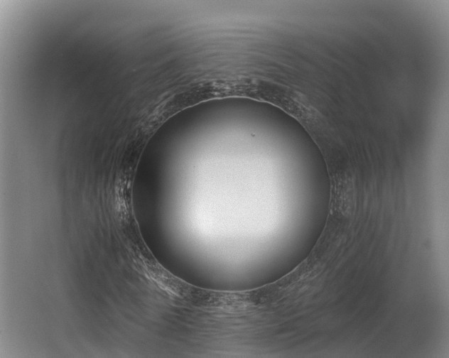 X0000062830770200601171418