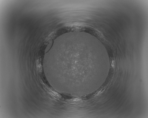 X0000062830771200601171418