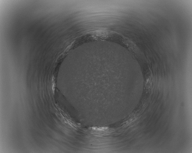 X0000062830772200601171418