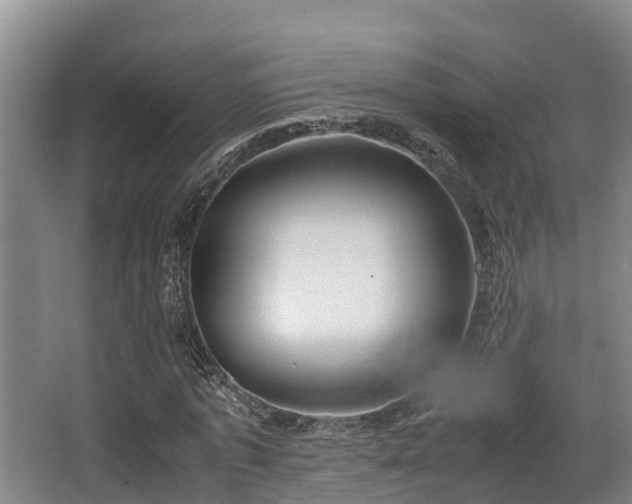 X0000062830773200601171418