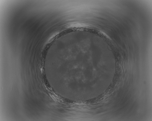 X0000062830775200601171418