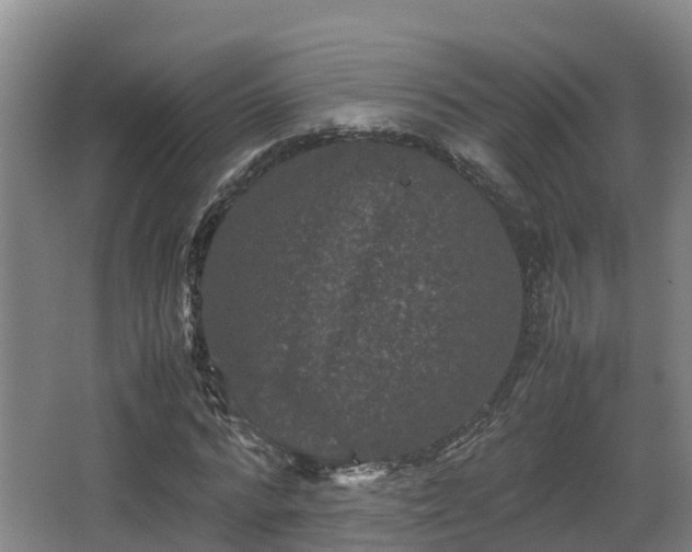 X0000062830776200601171418