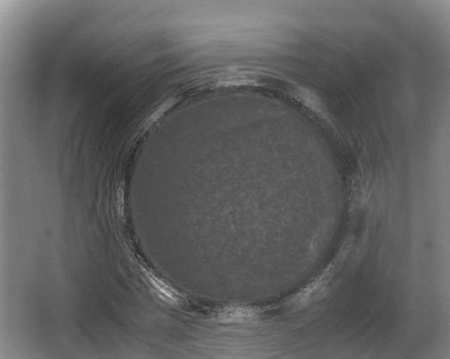 X0000062830777200601171418