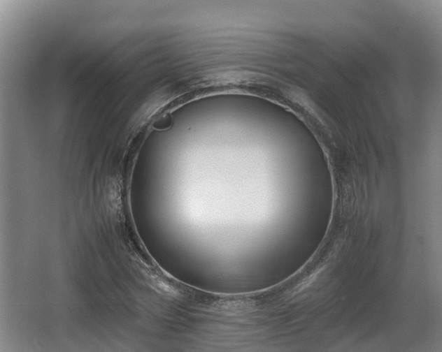 X0000062830778200601171418