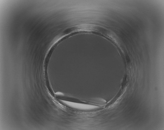 X0000062830779200601171418