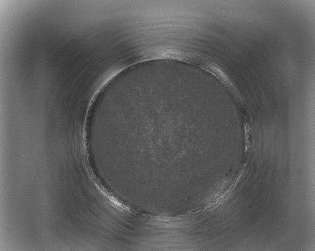 X0000062830780200601171418