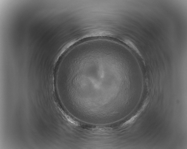 X0000062830781200601171418