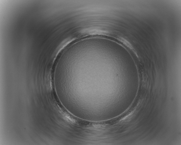 X0000062830782200601171418