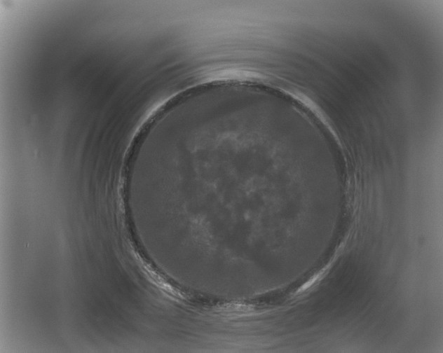 X0000062830783200601171418