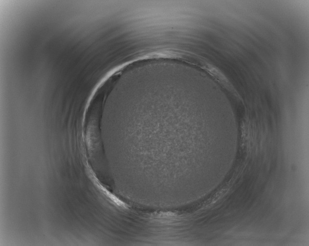 X0000062830784200601171418