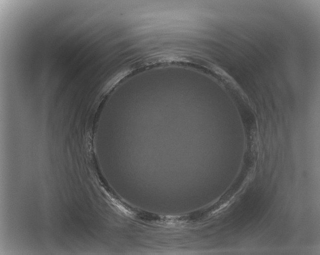 X0000062830785200601171418