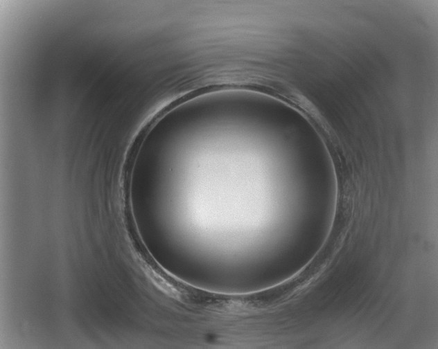 X0000062830787200601171418