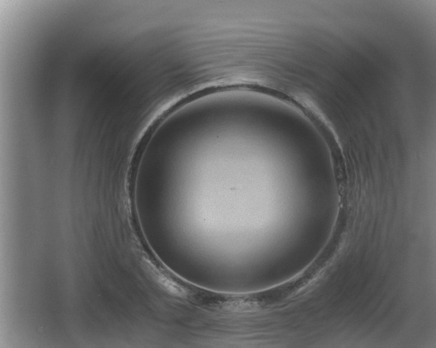 X0000062830789200601171418