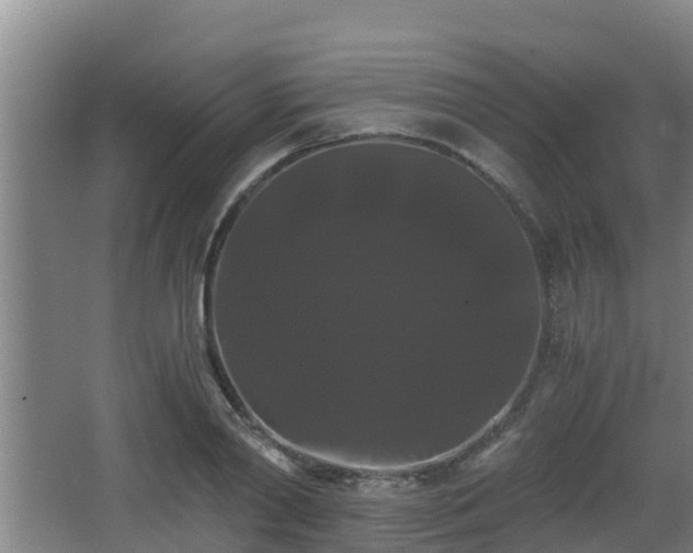 X0000062830790200601171418