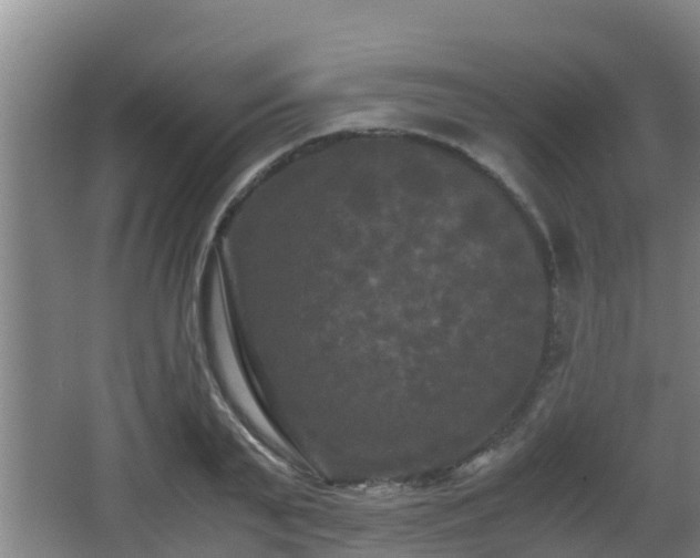 X0000062830791200601171418