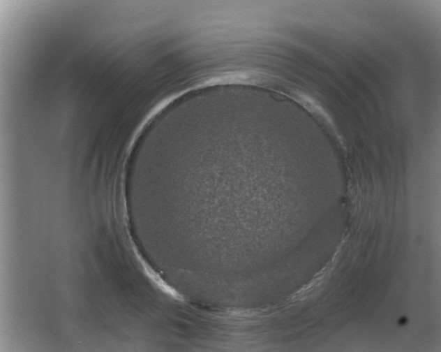 X0000062830792200601171418