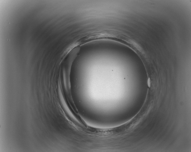 X0000062830793200601171418