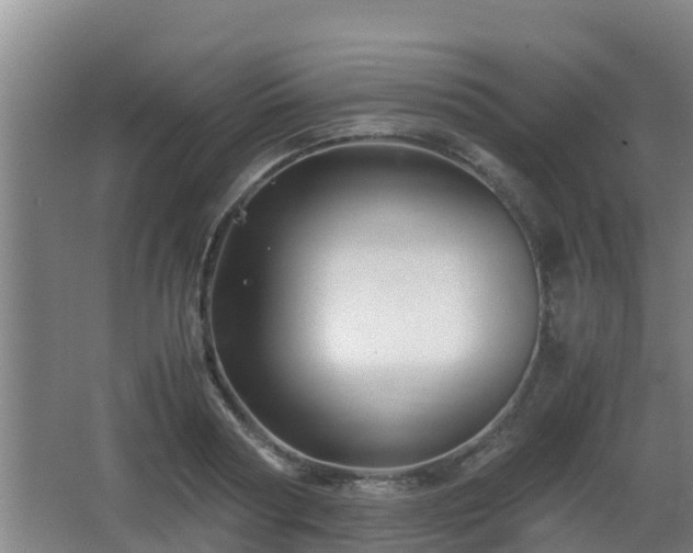 X0000062830794200601171418