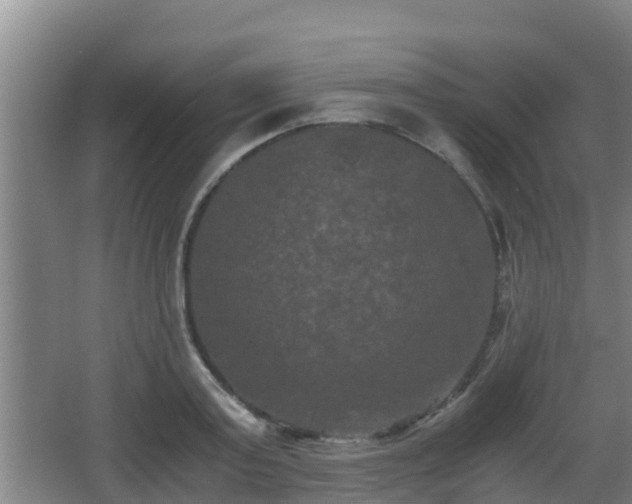 X0000062830795200601171418