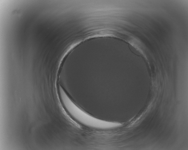 X0000062830797200601171418