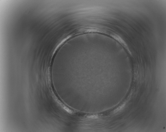 X0000062830798200601171418