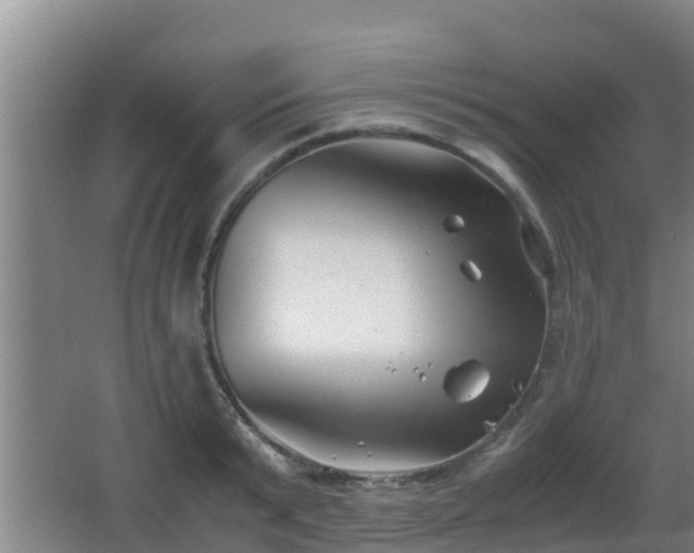 X0000062830799200601171418