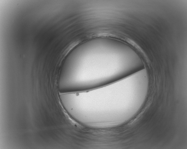 X0000062830801200601171418