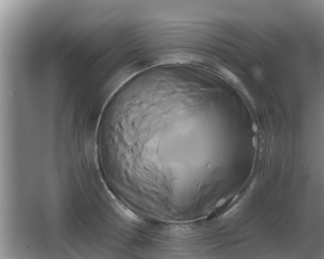 X0000062830802200601171418