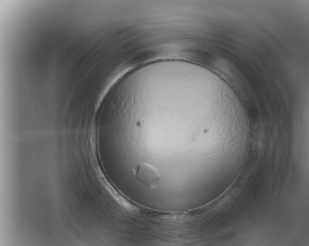 X0000062830804200601171418