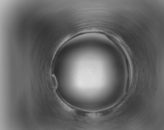 X0000062830805200601171418