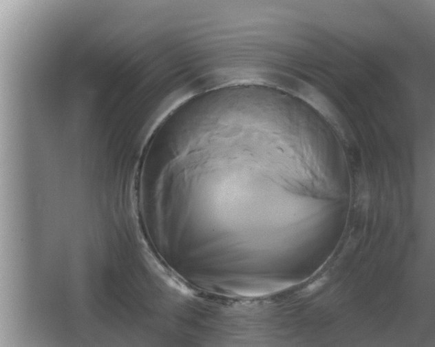 X0000062830806200601171418