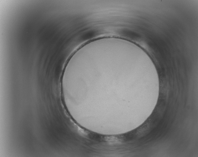 X0000062830807200601171418