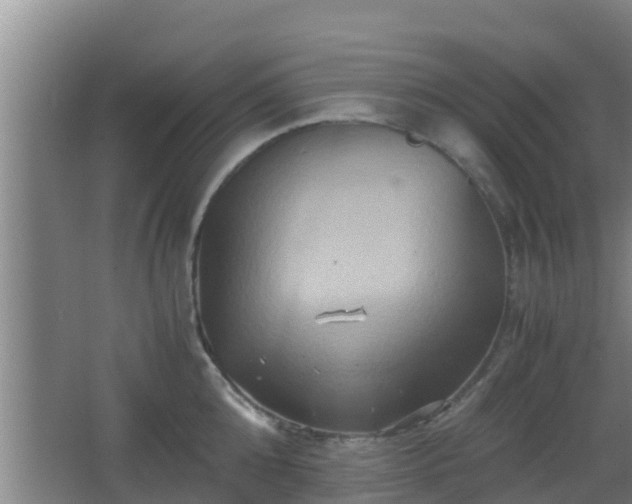 X0000062830808200601171418