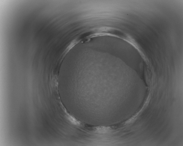 X0000062830809200601171418