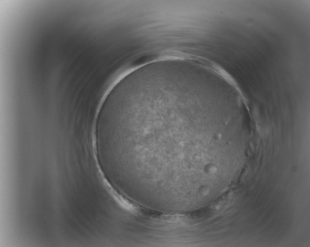 X0000062830811200601171418