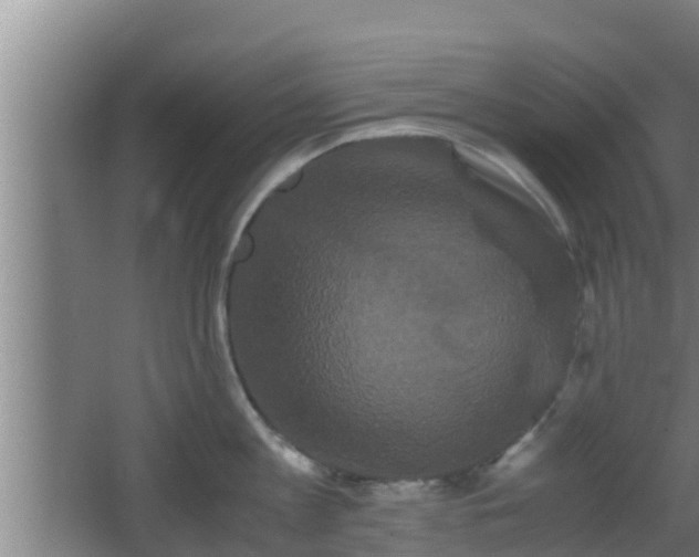 X0000062830813200601171418