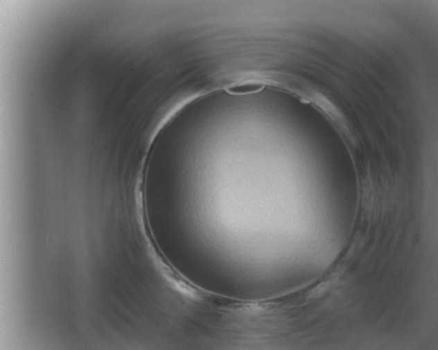 X0000062830814200601171418