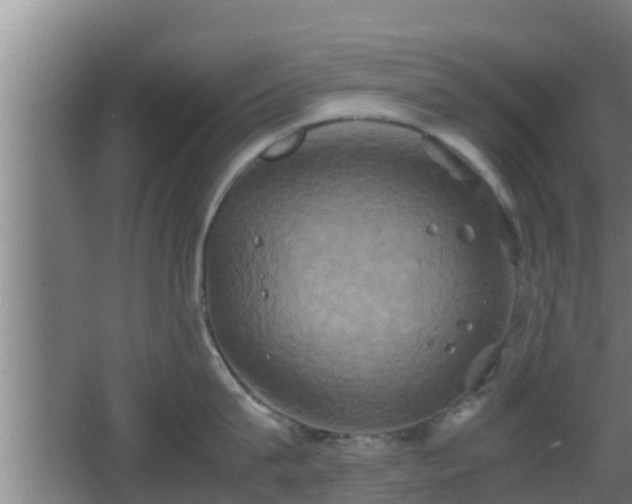 X0000062830815200601171418