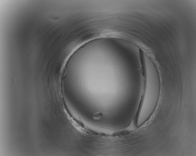 X0000062830816200601171418