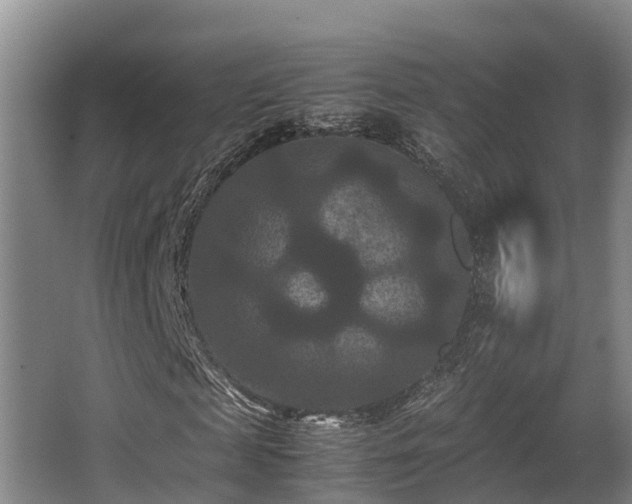 X0000062830817200601171417