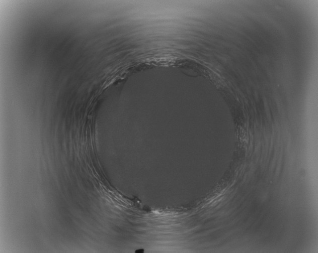 X0000062830818200601171417