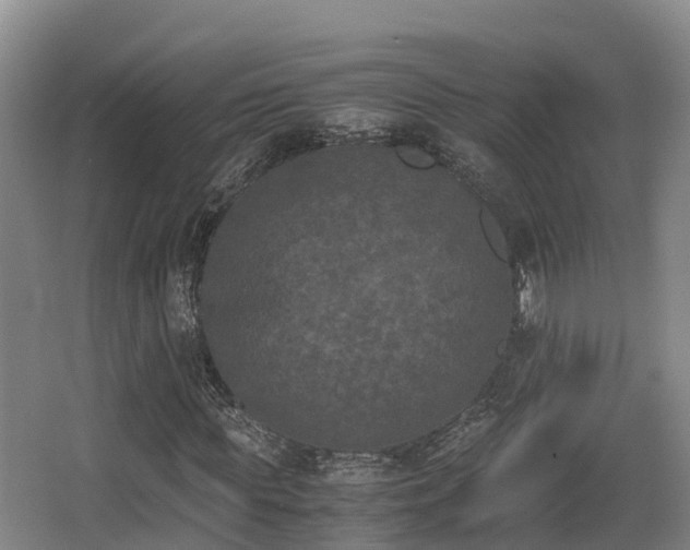 X0000062830819200601171417