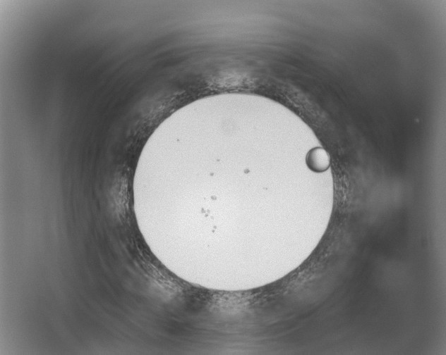 X0000062830820200601171417