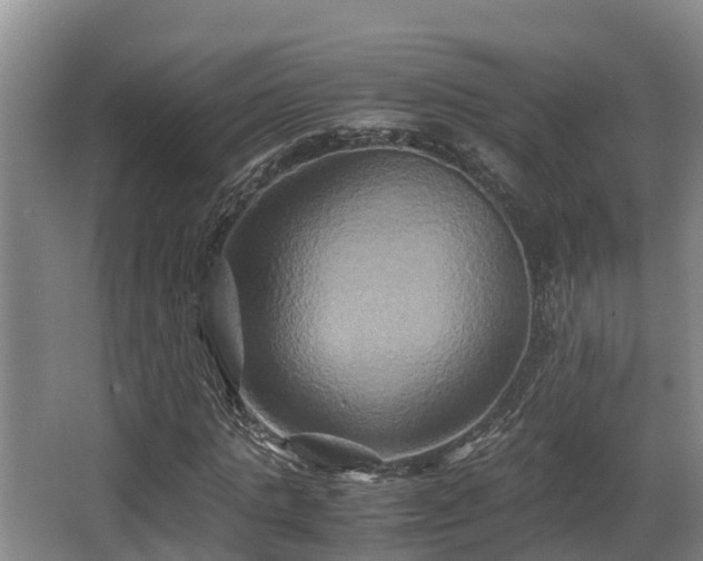 X0000062830821200601171417