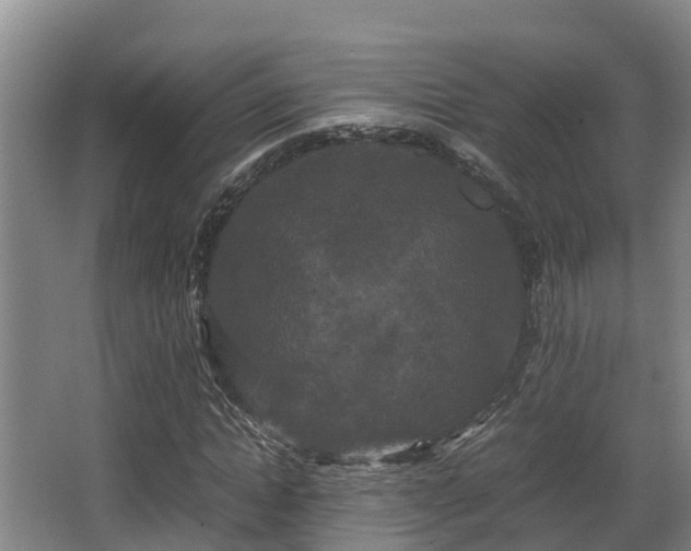 X0000062830822200601171417